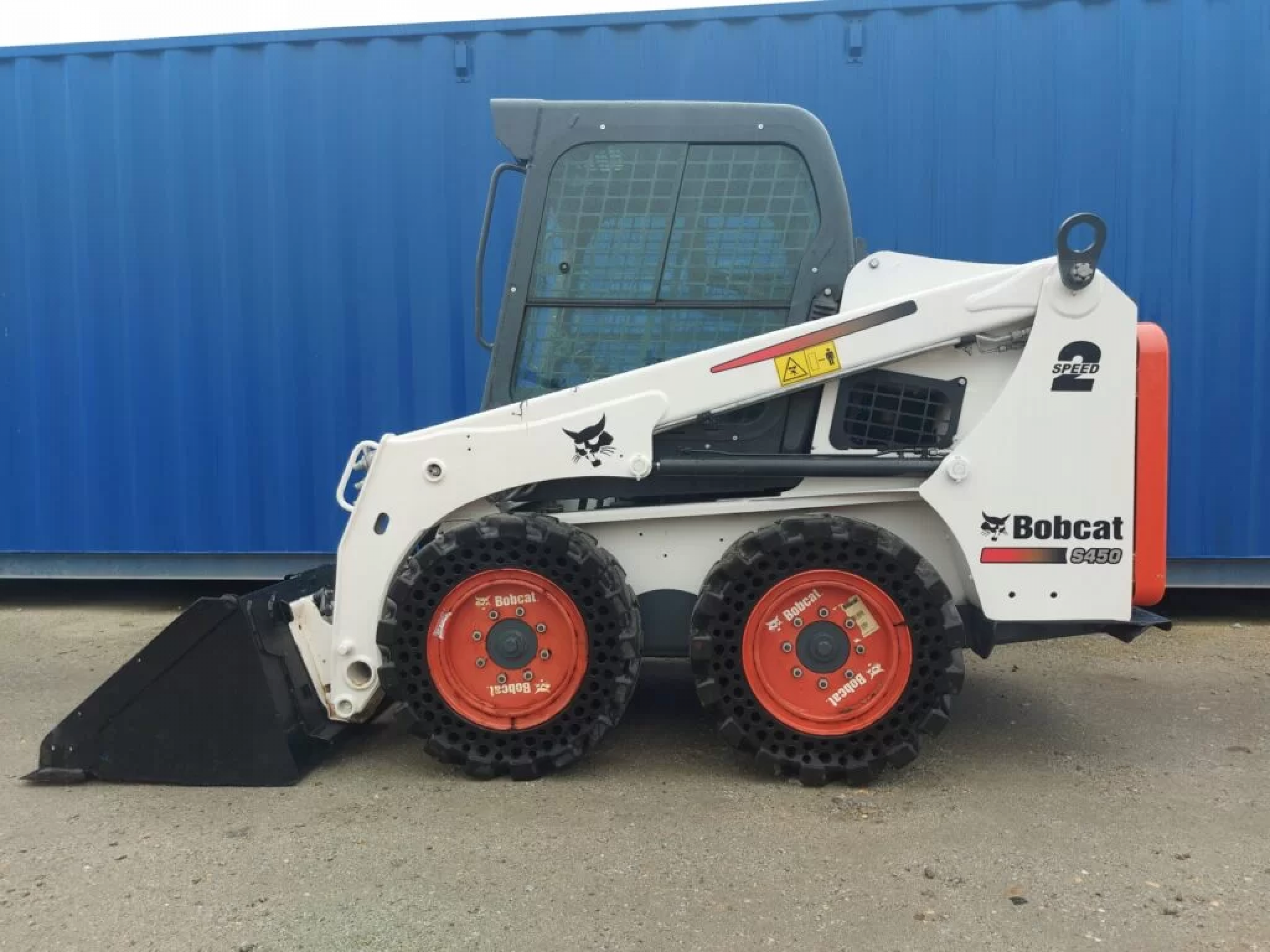Bobcat